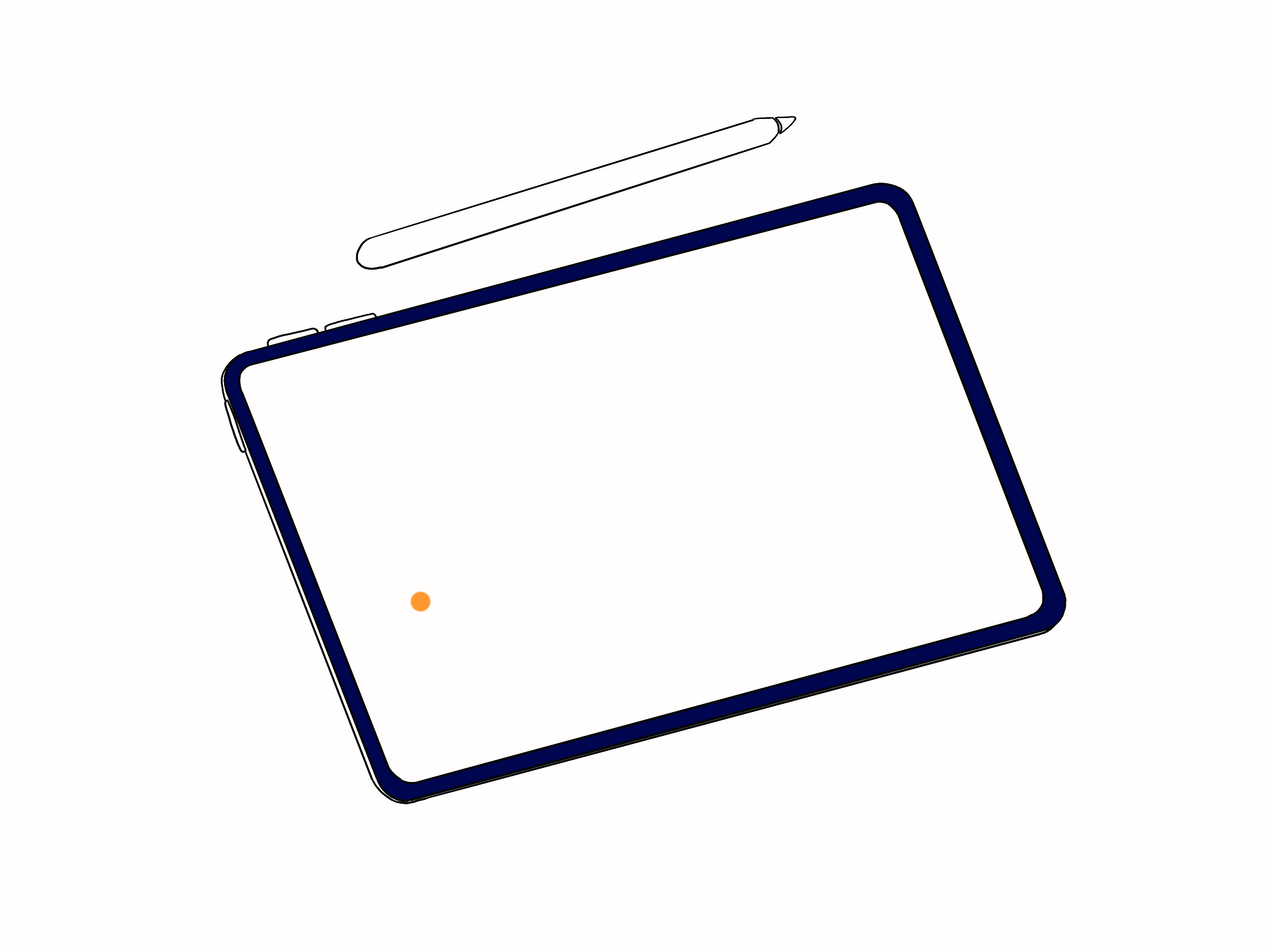  Custom Illustration / animation